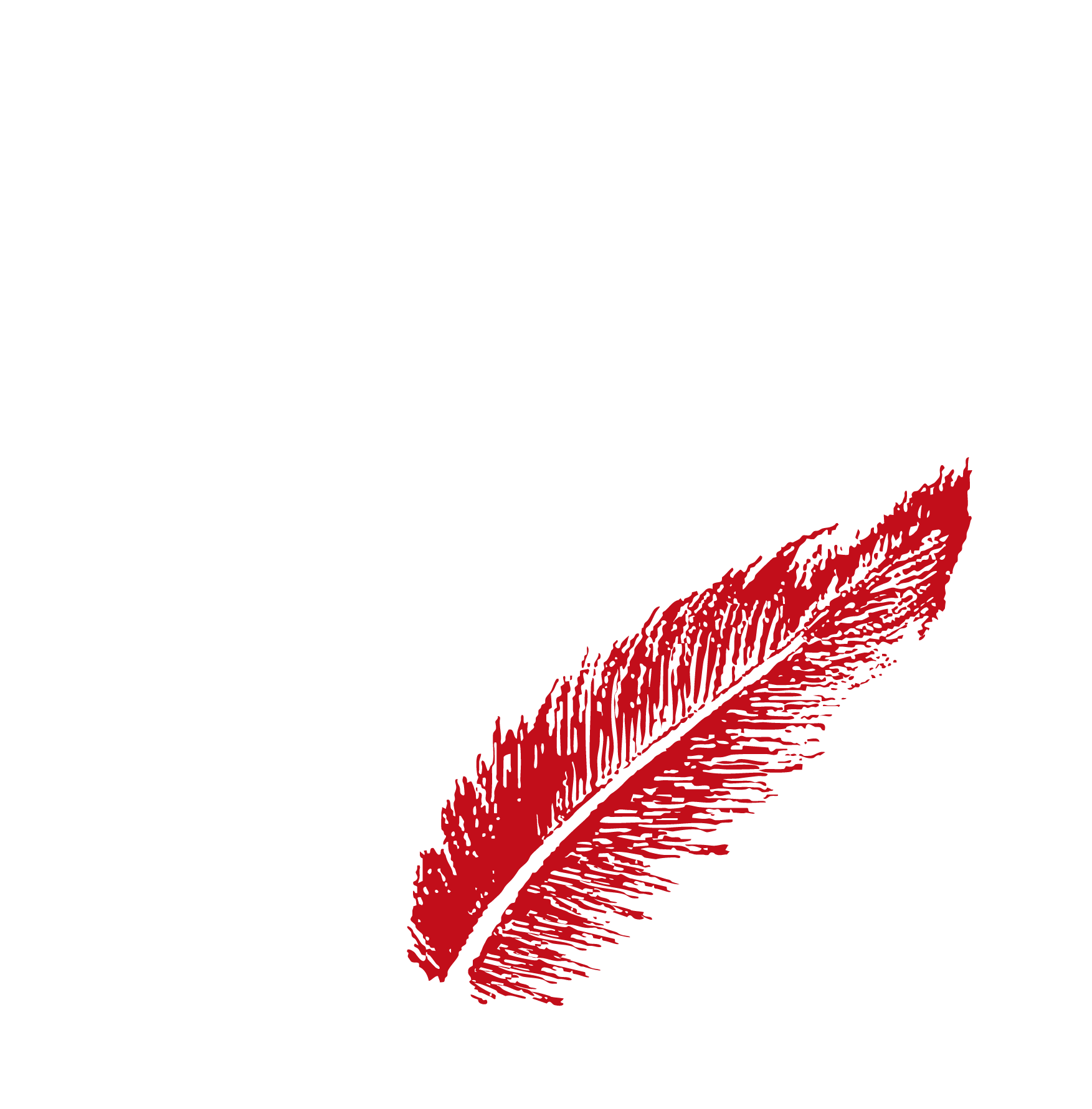 Rock N’ Spleen